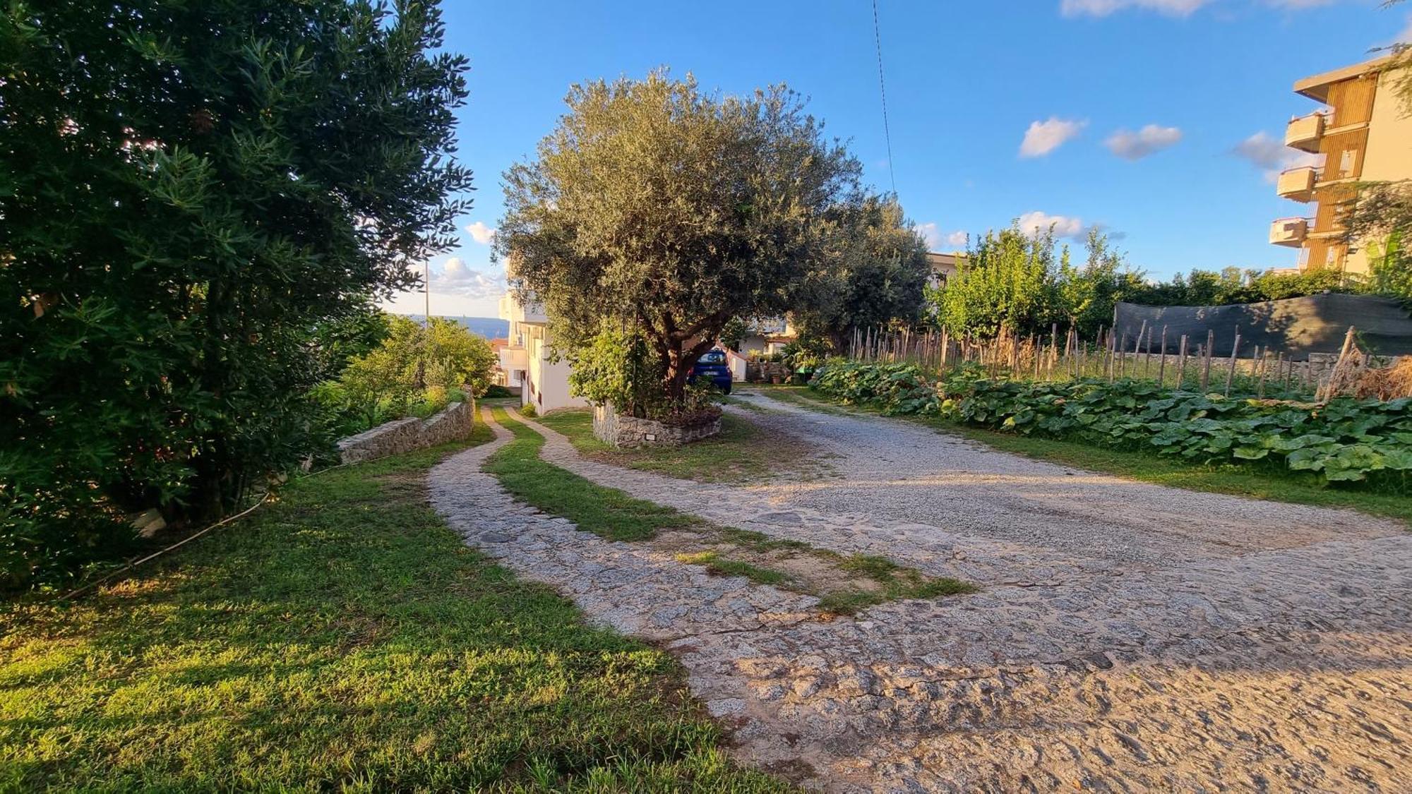 Villa Eugenia Tropea Exterior foto